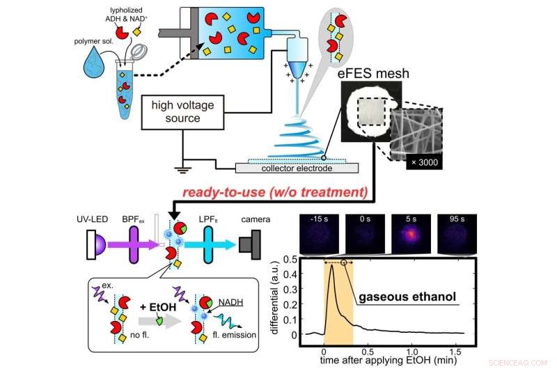 Advancing Gas‑Phase Biosensors: Enhancing Disease Detection Through Electrospun Enzyme Strands