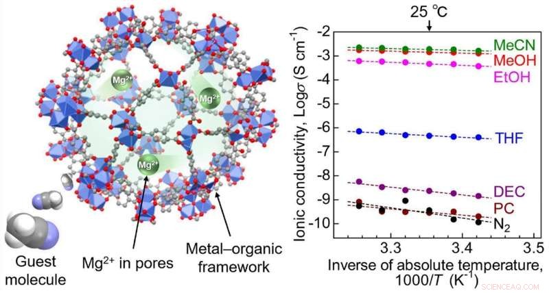 Revolutionary Mg²⁺ Superionic Conductor Enables Lithium‑Free Solid‑State Batteries