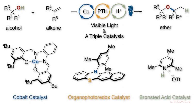Triple‑Catalyst Strategy Enables Acid‑Free Synthesis of Dialkyl Ethers from Alcohols and Alkenes
