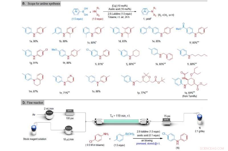 Ultrathin 2D Cuprate Catalyst with Periodic Copper Sites: A Breakthrough for Chan‑Lam Coupling
