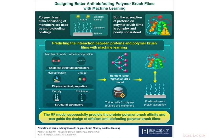Leveraging Machine Learning for Optimal Anti-Biofouling Polymer Brush Film Design