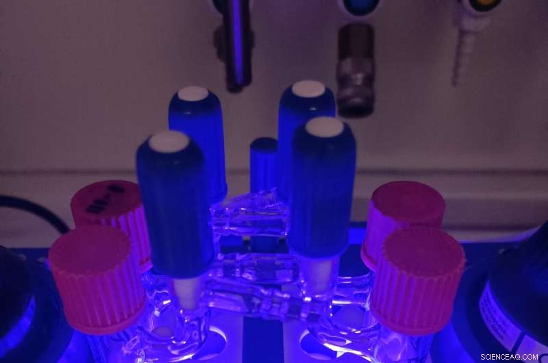 Harnessing Light for Efficient Synthesis of Complex β‑Amino Acid Derivatives