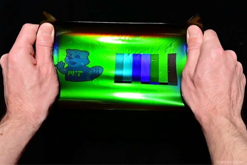 MIT Engineers Adapt 19th-Century Photography for Stretchable, Color-Changing Holographic Films