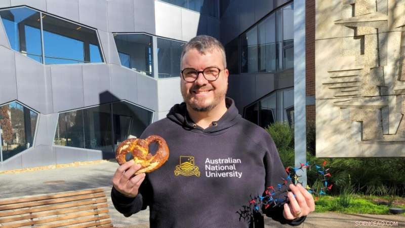 ANU Scientists Pioneer Novel Synthesis of Pretzel-Shaped Bicyclic Peptides