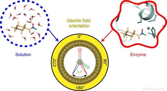 Decoding Enzyme Function: Electric Field Mapping Reveals Catalytic Mechanisms