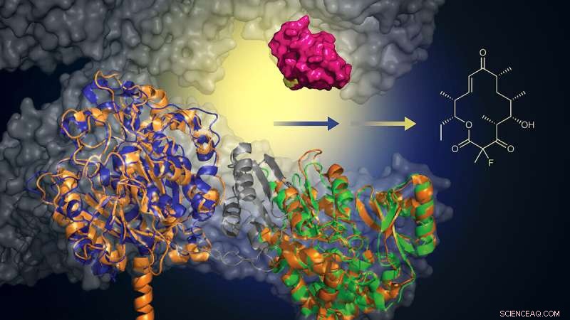 Researchers Unveil Greener, More Efficient Method to Produce Next-Gen Antibiotics