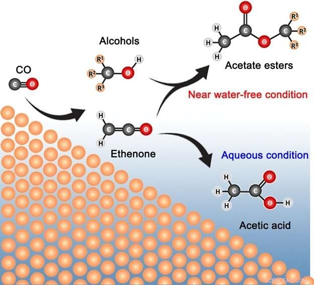 Sustainable Electrochemical Production of Acetate Esters from CO and Water