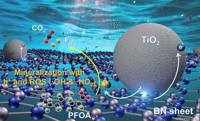 Rice University Engineers Release Sun‑Powered Catalyst That Neutralizes Persistent PFOA Chemicals