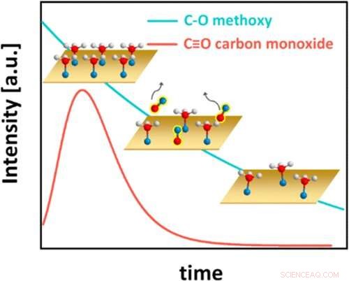 Revealing Unexpected Dynamics in High‑Efficiency Clean‑Energy Catalysts