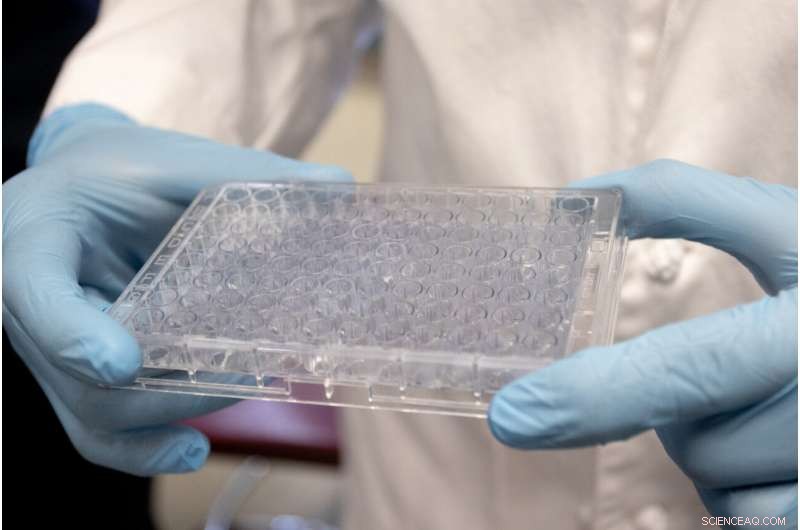 Rapid, Highly Efficient COVID-19 Biosensor in Development Promises Early Detection