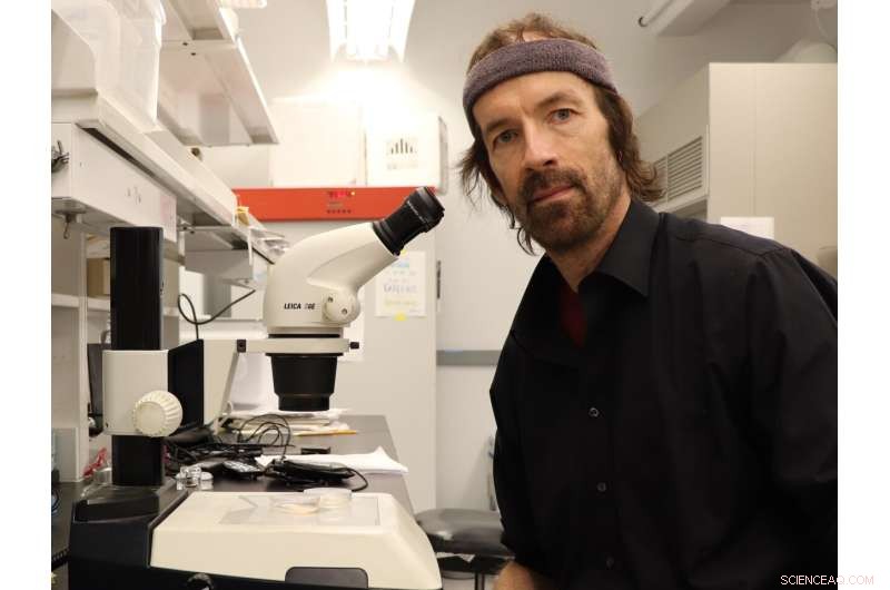 Using C. elegans Worms to Advance Personalized Medicine