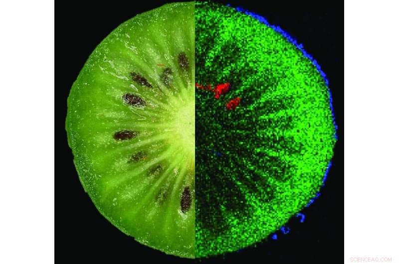 Mass Spectrometry Imaging Reveals Food Ingredients, Additives, and Contaminants with Precision