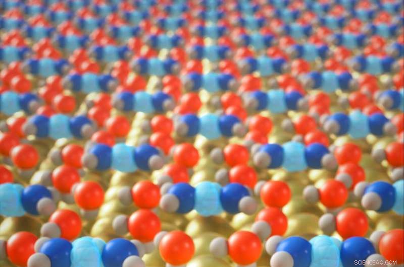 High‑Resolution Real‑Space Imaging of Representative Hydrated Proton Structures