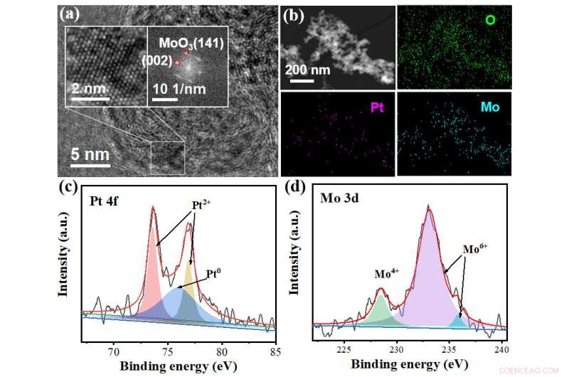 Highly Selective Pt–MoO3/C Catalyst for Electrochemical C=O Hydrogenation of Cinnamaldehyde to Cinnamyl Alcohol
