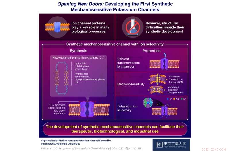 Pioneering Synthetic Mechanosensitive Potassium Channel Developed at Tokyo Tech
