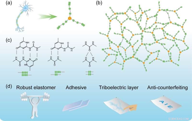 Scientists Unveil Neuron‑Inspired Telechelic Polymer with Superior Performance and Self‑Healing