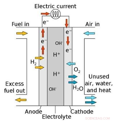 Breakthrough in Oxygen Reduction Reaction Drives Next-Generation Hydrogen Fuel Cells