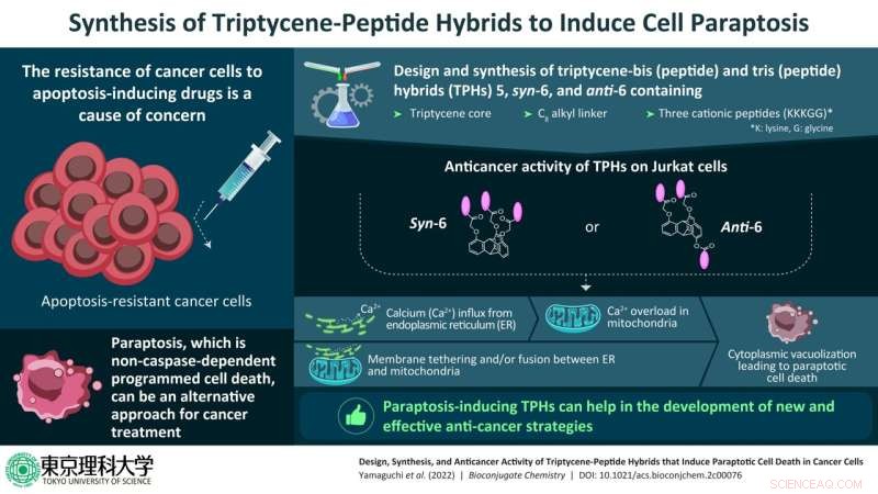 Innovative Paraptosis Therapy Promises to Overcome Apoptosis Resistance in Cancer Cells