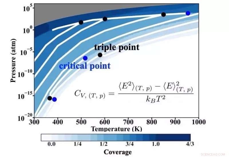 Investigating Surface Transformations in Reactive Gas Environments Across Varying Temperatures and Pressures