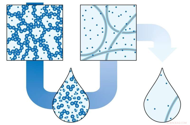 Chemists Discover Unexpected Phase Transition: Dilution Strengthens Water-Based Gel