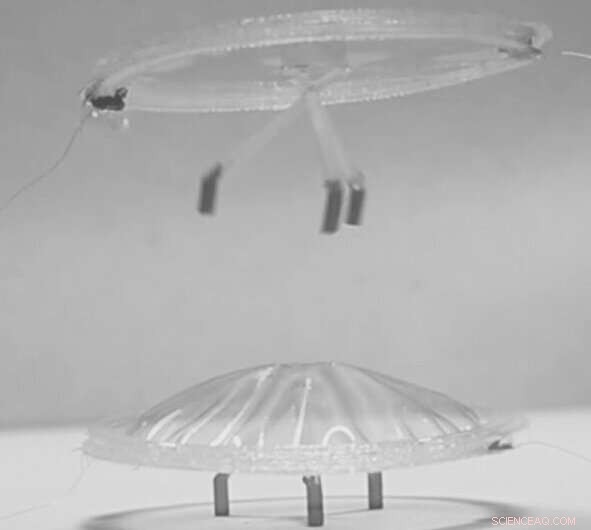 Scientists Develop Stronger, Flexible Artificial Muscles Using New Durable Material