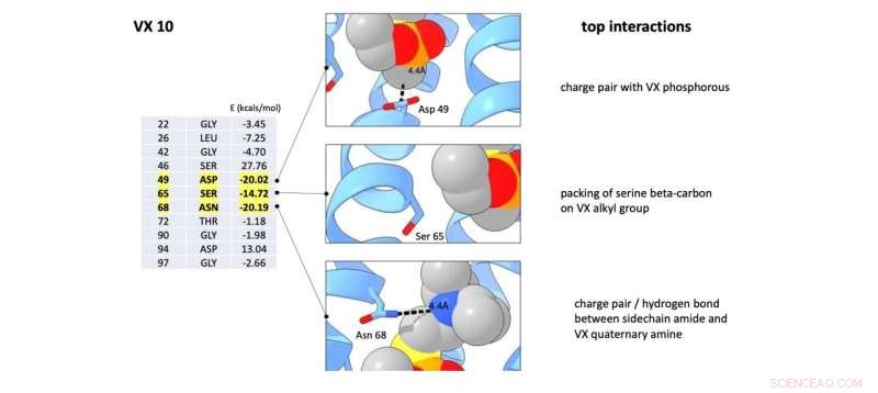 CCNY’s Koder Lab Develops First Real‑Time VX Neurotoxin Detector