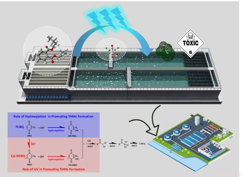 UV Treatment During Chlorination Can Raise Toxic Trihalomethane Levels: Key Insights