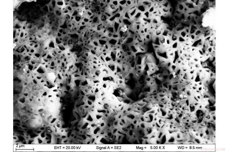 Oxygen‑Deficient Honeycomb Pores Identified in Oxide Scale on Lead‑Based Reactor Steel