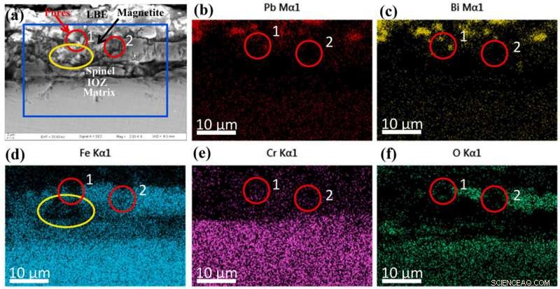 Oxygen‑Deficient Honeycomb Pores Identified in Oxide Scale on Lead‑Based Reactor Steel