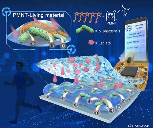 Living-Material Bioelectronic Sensor: Flexible Real‑Time Monitoring of Lactate and Tumor Cells