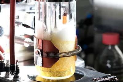 Harnessing Microbial Engineering: Turning Glucose into 1,3-Butadiene for Sustainable Tire Production