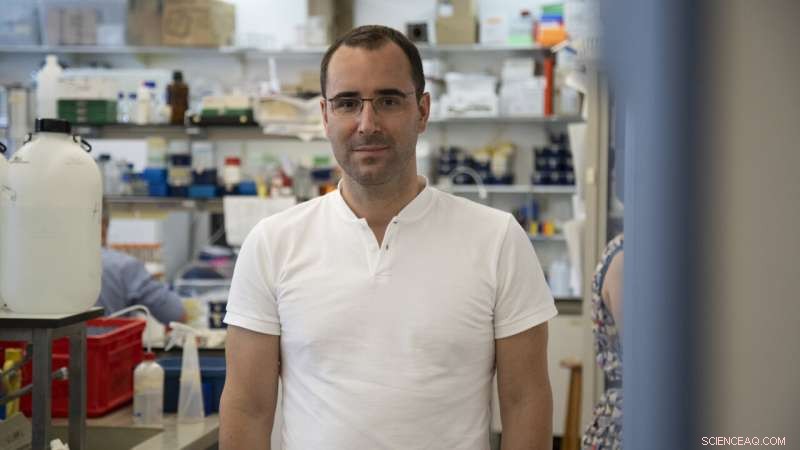 Revolutionary Chemical Modification of Natural Compound Boosts Cancer Treatment Safety and Efficacy