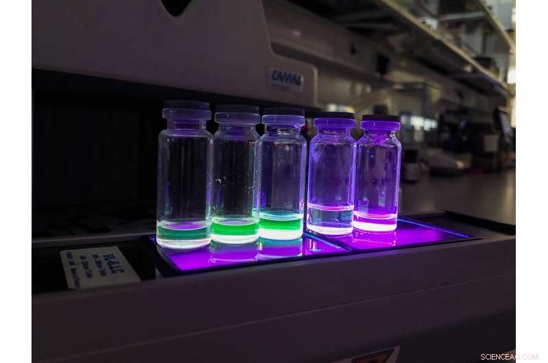 Innovative Fluorophores Show Promise in Photodynamic Cancer Therapy