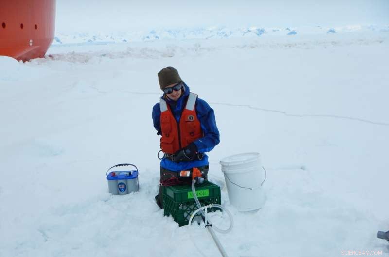 Climate Change Threatens to Drastically Cut Oceanic Omega‑3 Fatty Acids