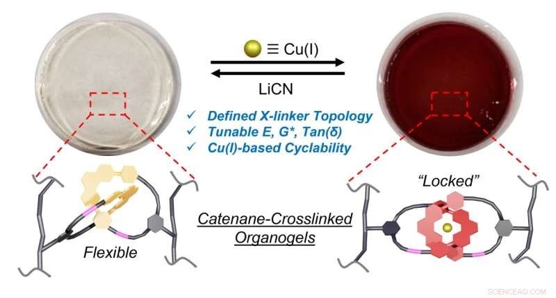 Interlocking Rings Reveal Novel Properties in Metalated Catenane Gels