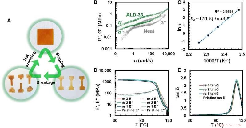 Revolutionizing Plastic Recycling with Dynamic Cross-Linking: Creating Reprintable Vitrimers for 3D Printing