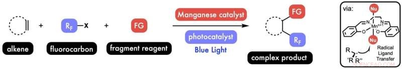 Light-Activated Chemistry Enables Dual-Function Molecule Customization for Drug and Material Development