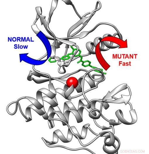Computer Simulations Reveal How Cancer Cells Develop Chemotherapy Resistance