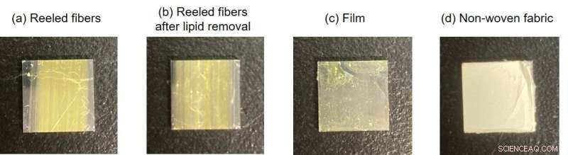 Spider Silk Properties Explored for Advanced Medical Bio‑Fiber Applications