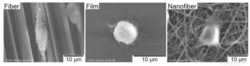 Spider Silk Properties Explored for Advanced Medical Bio‑Fiber Applications