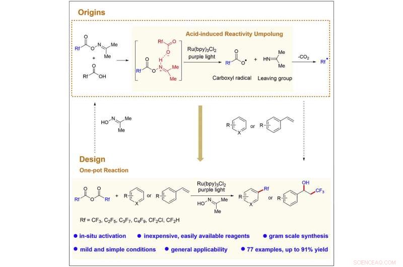 Efficient Photocatalytic Fluoroalkylation of (Hetero)arenes for Enhanced Lipophilicity and Metabolic Stability