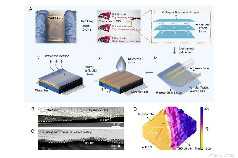 Innovative Exfoliation Method Restores Piezoelectric Properties in Biodegradable Biomaterials