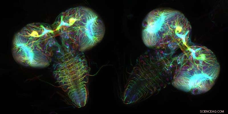 AI Breakthrough: Predicting Protein Fluorescence Through Chemical Modeling