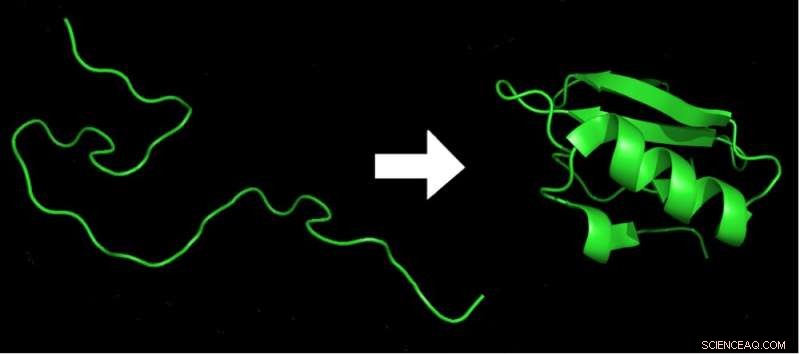 AI Breakthrough: Predicting Protein Fluorescence Through Chemical Modeling