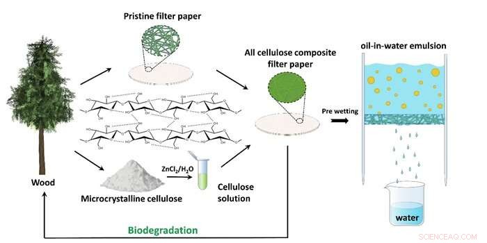 Biodegradable Cellulose Membrane Delivers High-Efficiency Oil‑Water Separation