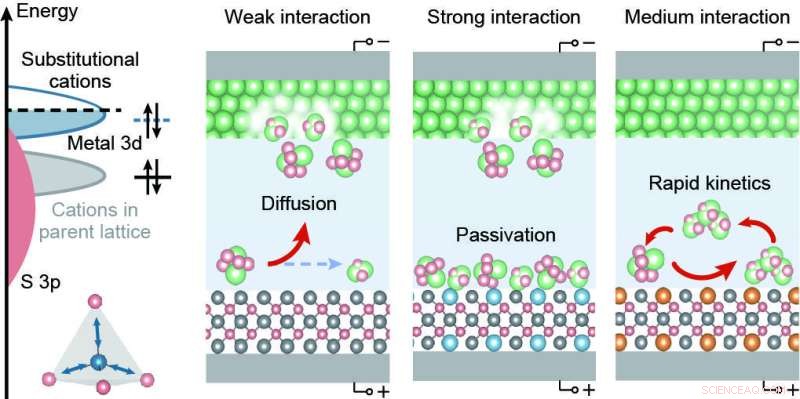 Volcano-Shape Trend Guides Rational Design of Polysulfide Catalysts for Lithium–Sulfur Batteries