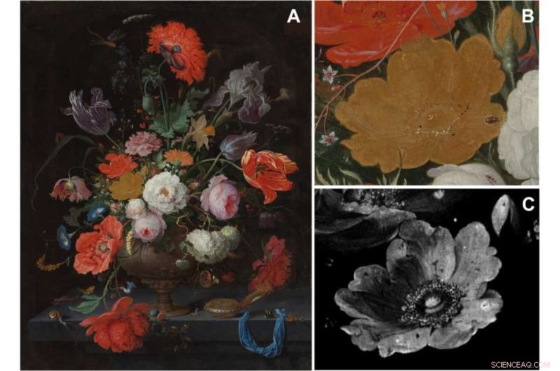 Unveiling Color Loss: How Chemical and Optical Imaging Reveal the Decay of a Rose in Abraham Mignon’s Still Life