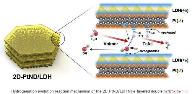 Enhanced Hydrogen Production via Double-Layered Platinum–NiFe Catalysts