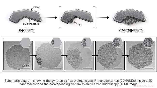 Enhanced Hydrogen Production via Double-Layered Platinum–NiFe Catalysts
