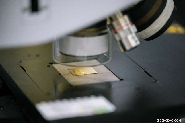 Innovative Deep UV SERRS Substrate for Rapid, Accurate DNA Detection